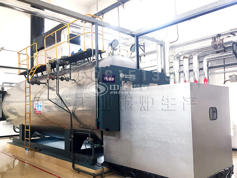 南平节能供热锅炉技术原理 行业领先